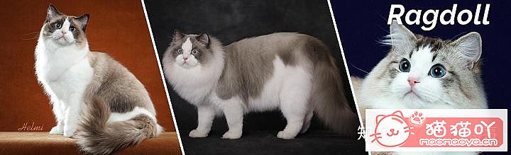 42cfaϵĴèΪԸԭͼ29