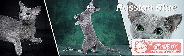 42cfaϵĴèΪԸԭͼ30