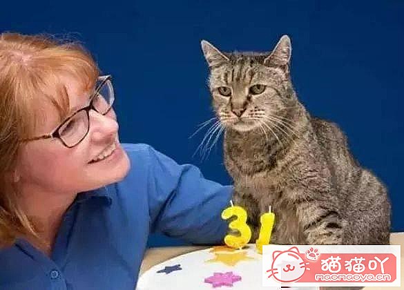 《最“省钱”的5大猫咪》原文配图1